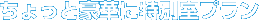�F�t�̂����ĂȂ��v����